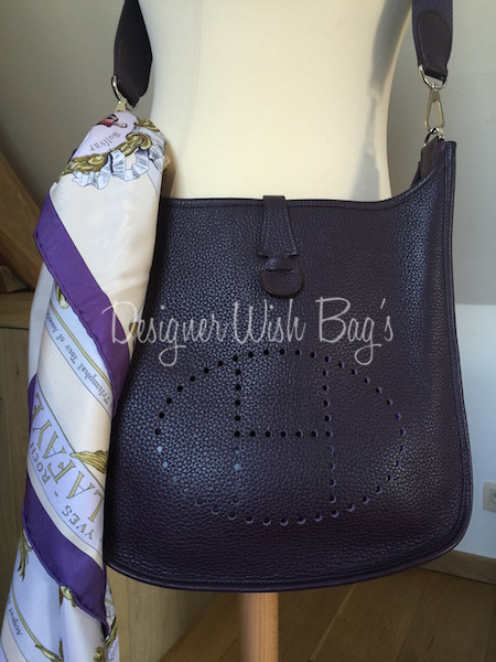 hermes evelyne raisin