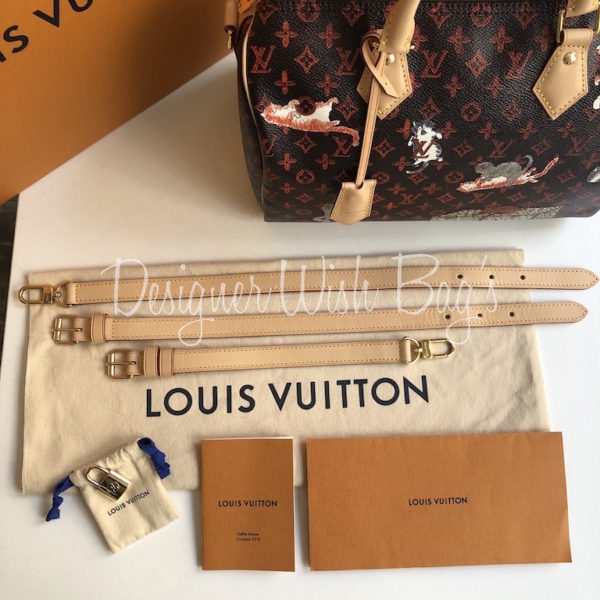Louis Vuitton Speedy Bandouliere Bag Limited Edition Grace Coddington  Catogram Canvas 30 Brown 1957262