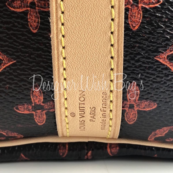 Review! Catogram Speedy Bandouliére 30 Louis Vuitton X Grace Coddington