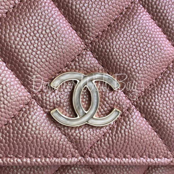 wallet on chain chanel 19 bag