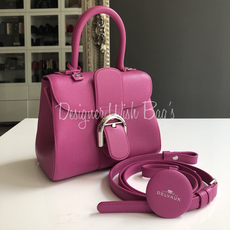 Delvaux Brillant East West Mini Limited Edition - MaBelleSac