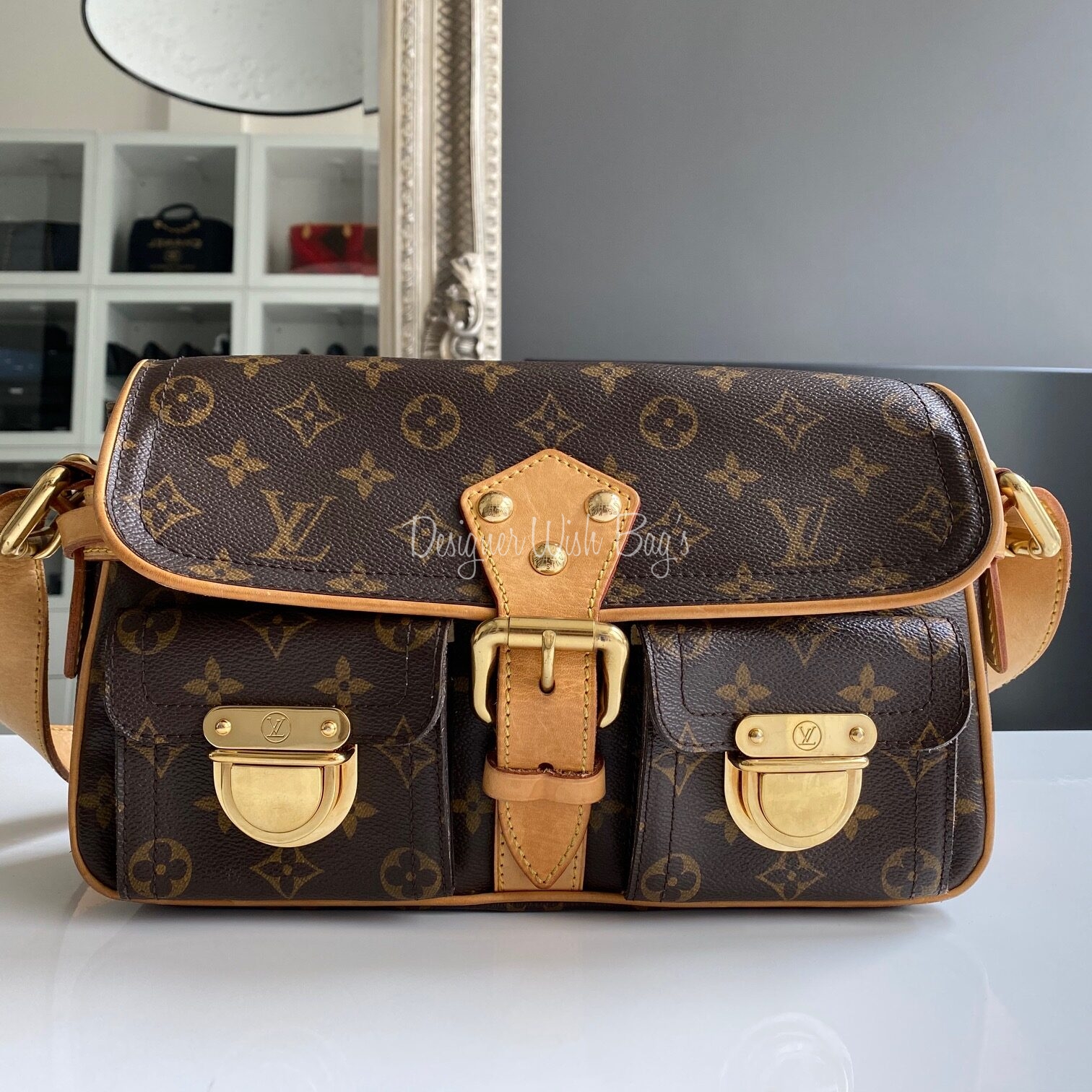 Louis Vuitton Hudson Leather Handbag