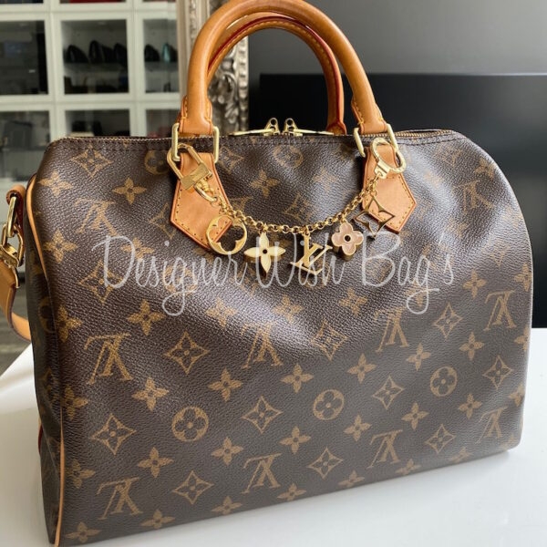 louis vuitton bag charm on bag